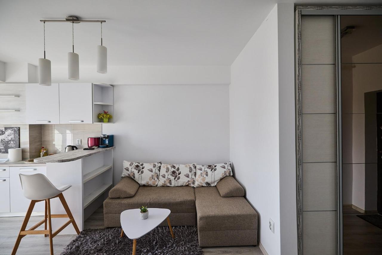 Alessandro Home 9 Luxury Centru Palas Mall Iasi Moldovei 30 Экстерьер фото